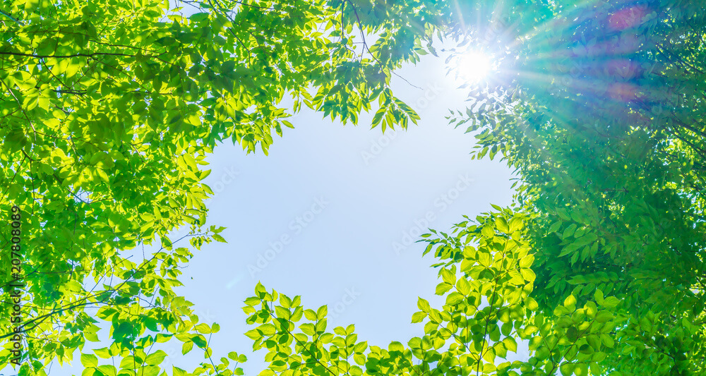 ファーストビュー画像